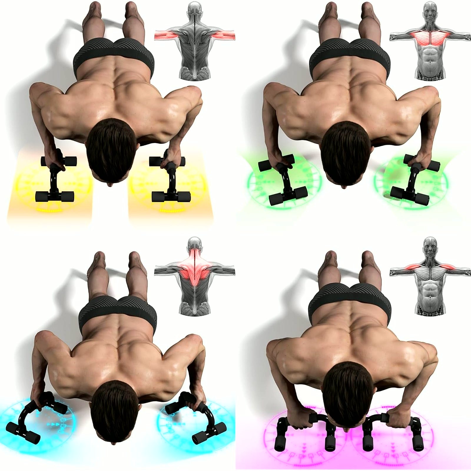 Push up Bars Gym Exercise Equipment Fitness 1 Pair Pushup Handles with Cushioned Foam Grip and Non-Slip Sturdy Structure Push up Bars for Men & Women